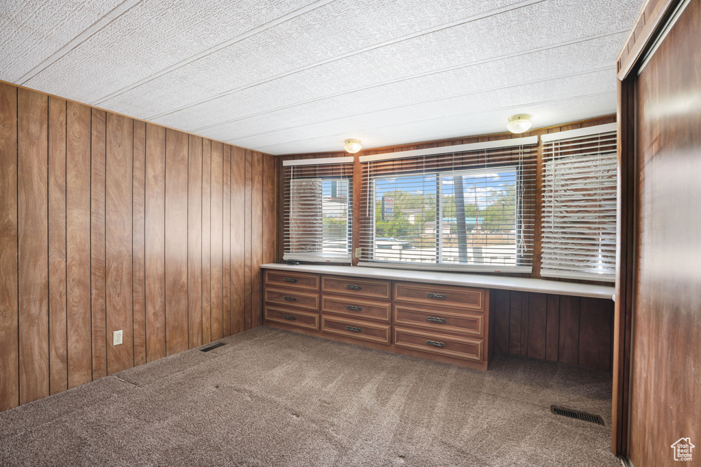 Unfurnished room with wood walls and carpet floors