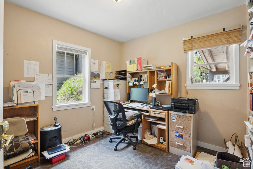 Office with baseboards and carpet flooring