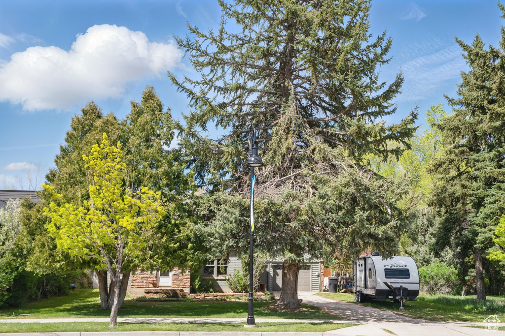 Obstructed view of property with a front yard