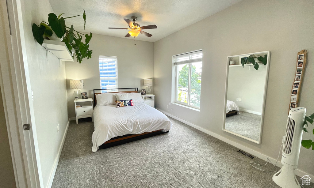 Carpeted bedroom with multiple windows and baseboards