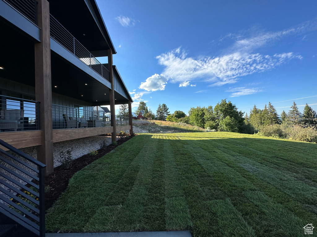 View of grassy yard