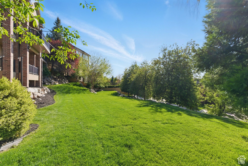 View of green lawn