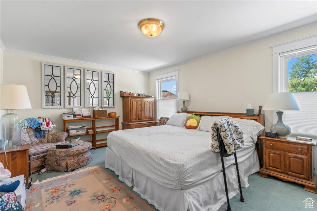 Bedroom featuring ornamental molding, carpet flooring, and multiple windows