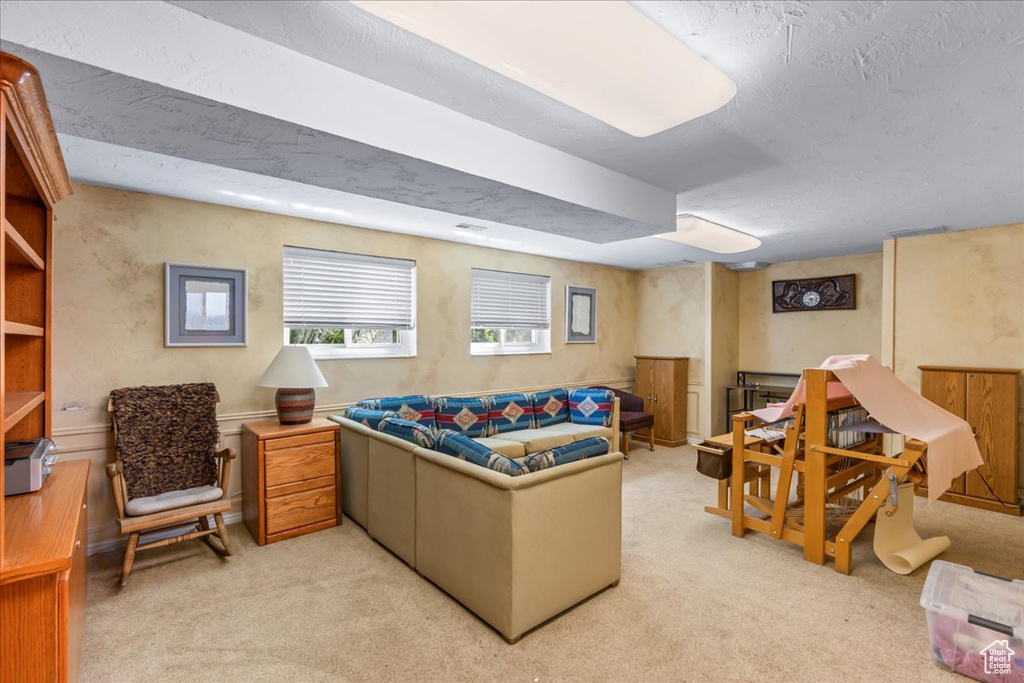 Living room with light carpet