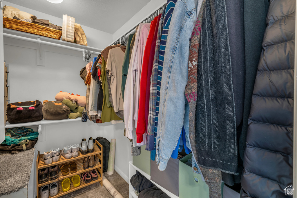 Walk in closet featuring carpet floors