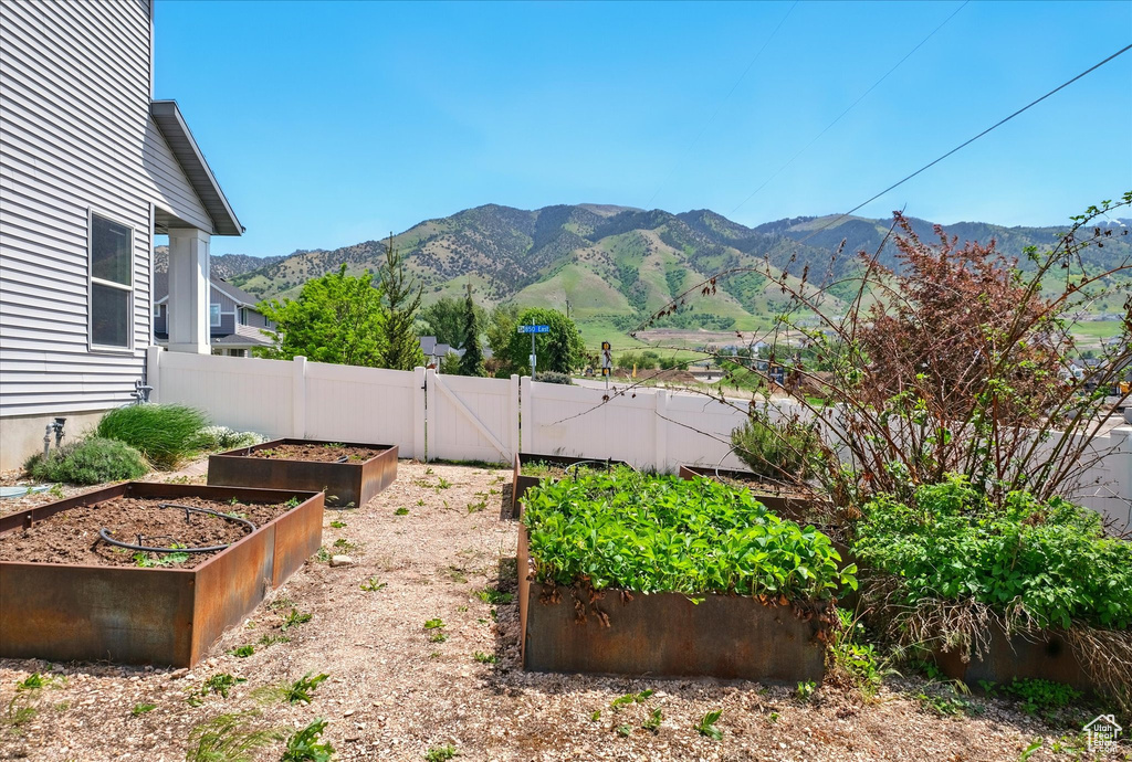 View of yard featuring a vegetable garden, a mountain view, fence, and a gate