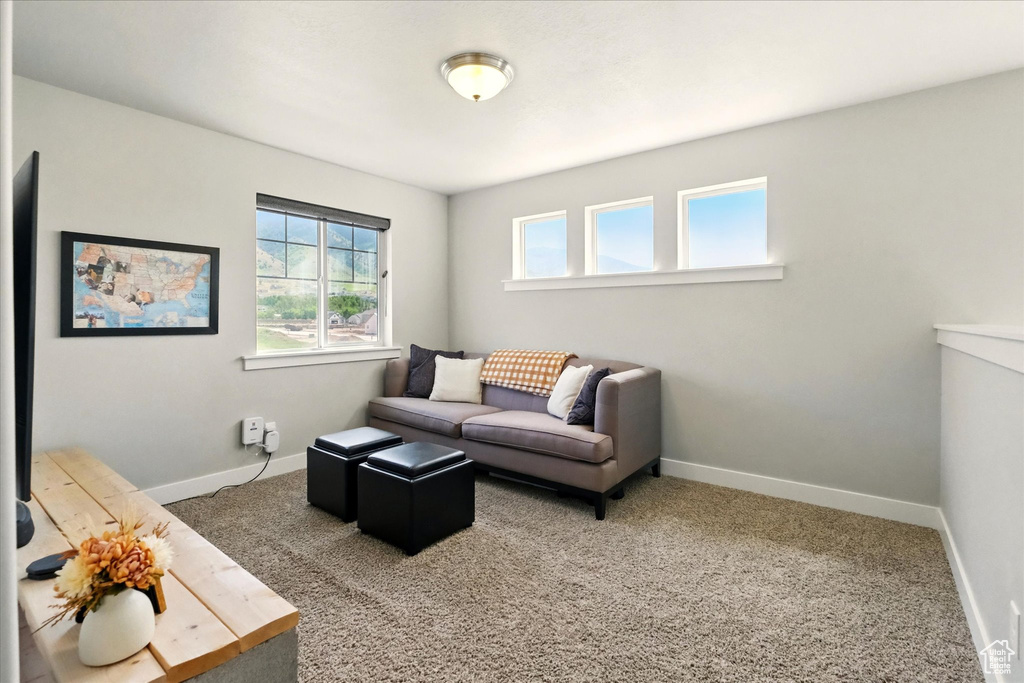 Living area with baseboards and carpet floors