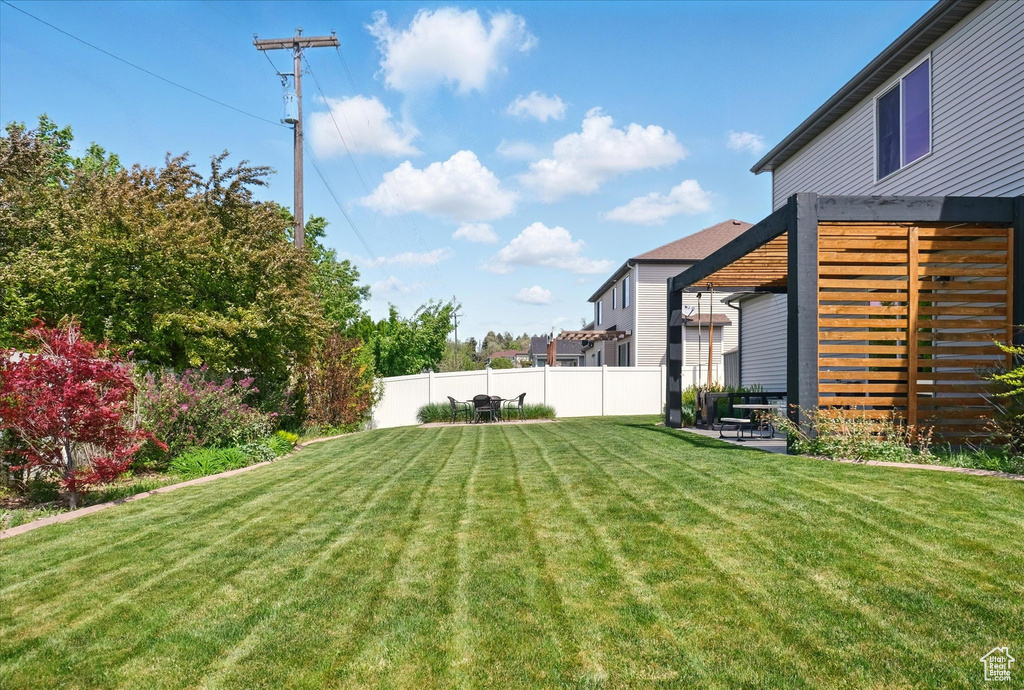View of yard