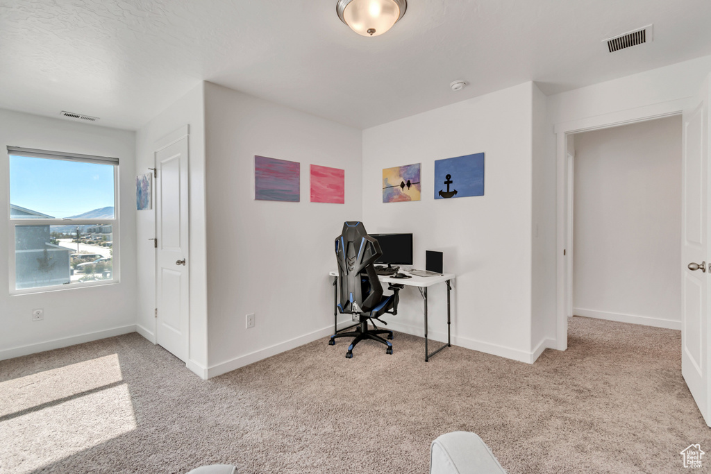 Carpeted home office with baseboards