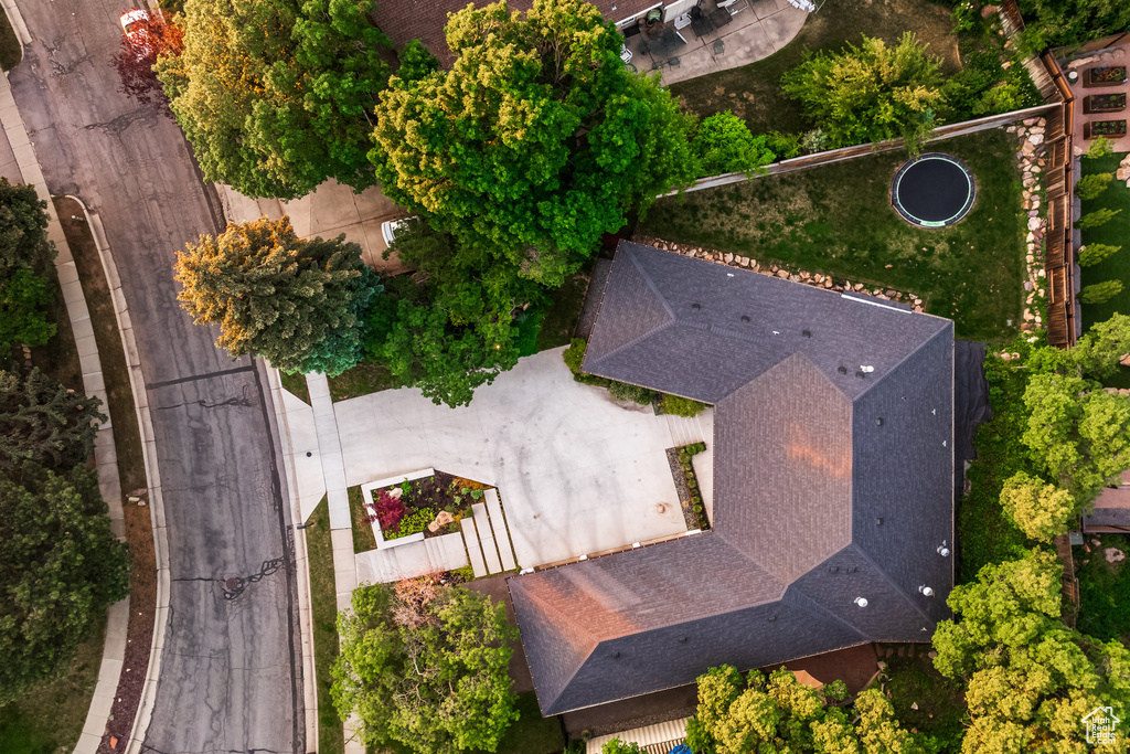 Bird\'s eye view