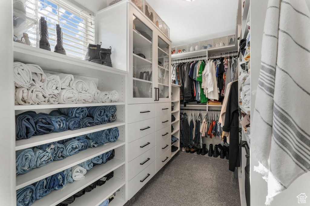Spacious closet featuring carpet flooring