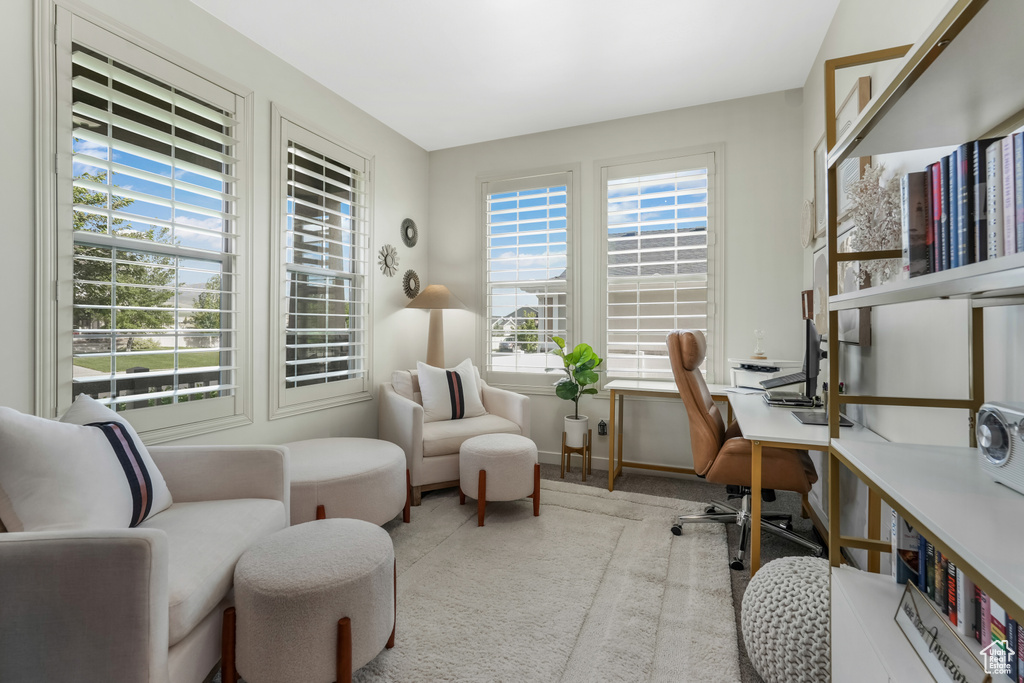 Home office featuring carpet flooring
