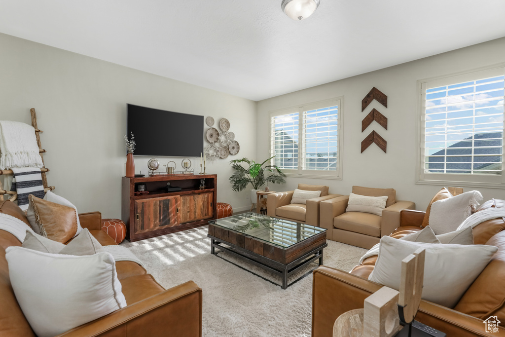 Living room with carpet flooring