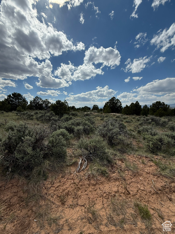 View of undeveloped land