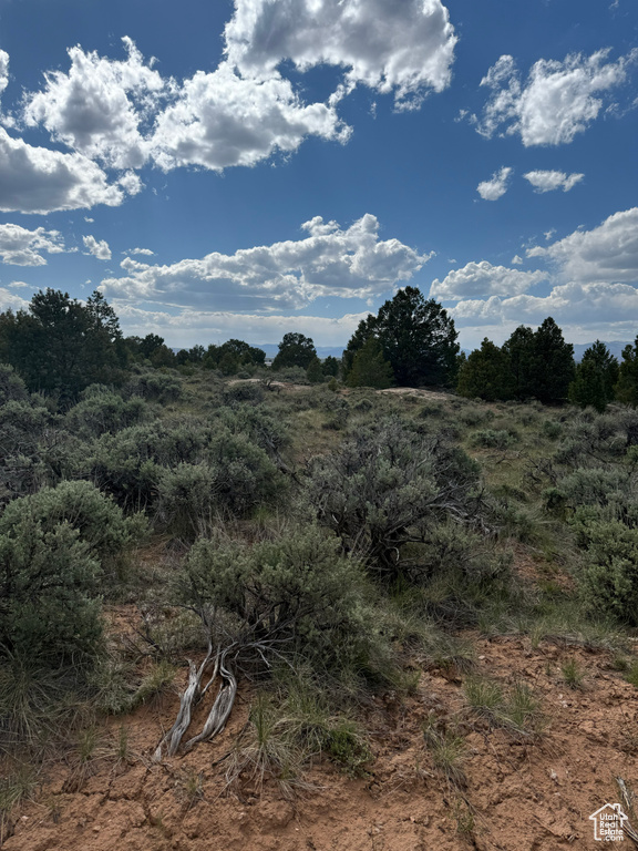 View of undeveloped land
