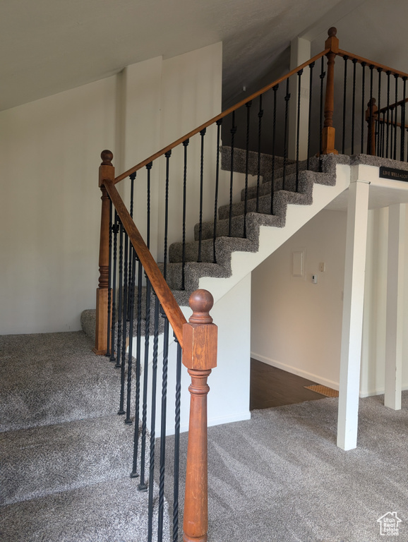 Staircase with carpet