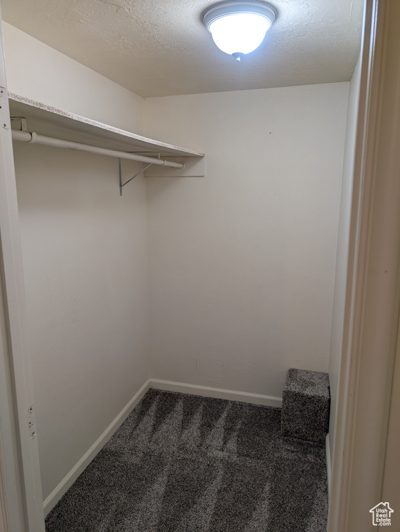 Spacious closet with carpet floors
