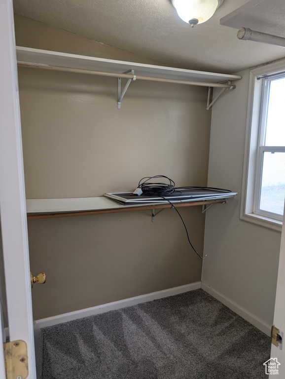 Spacious closet with carpet floors