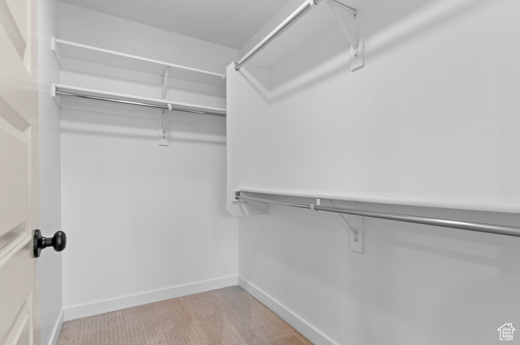 Walk in closet with carpet floors