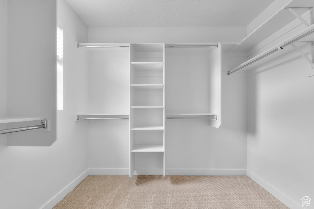 Walk in closet with carpet