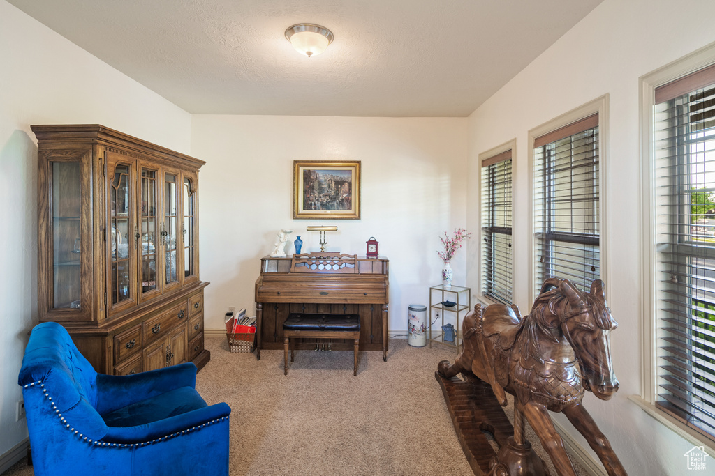 Living area featuring carpet floors and baseboards