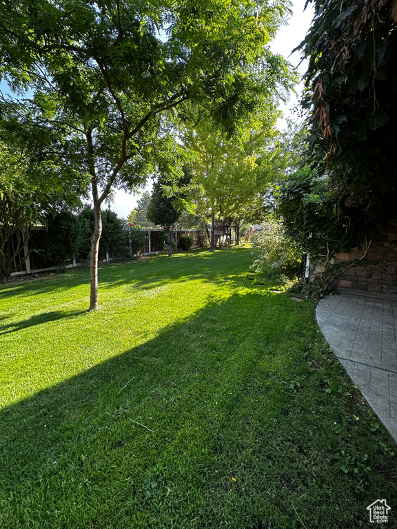 View of grassy yard