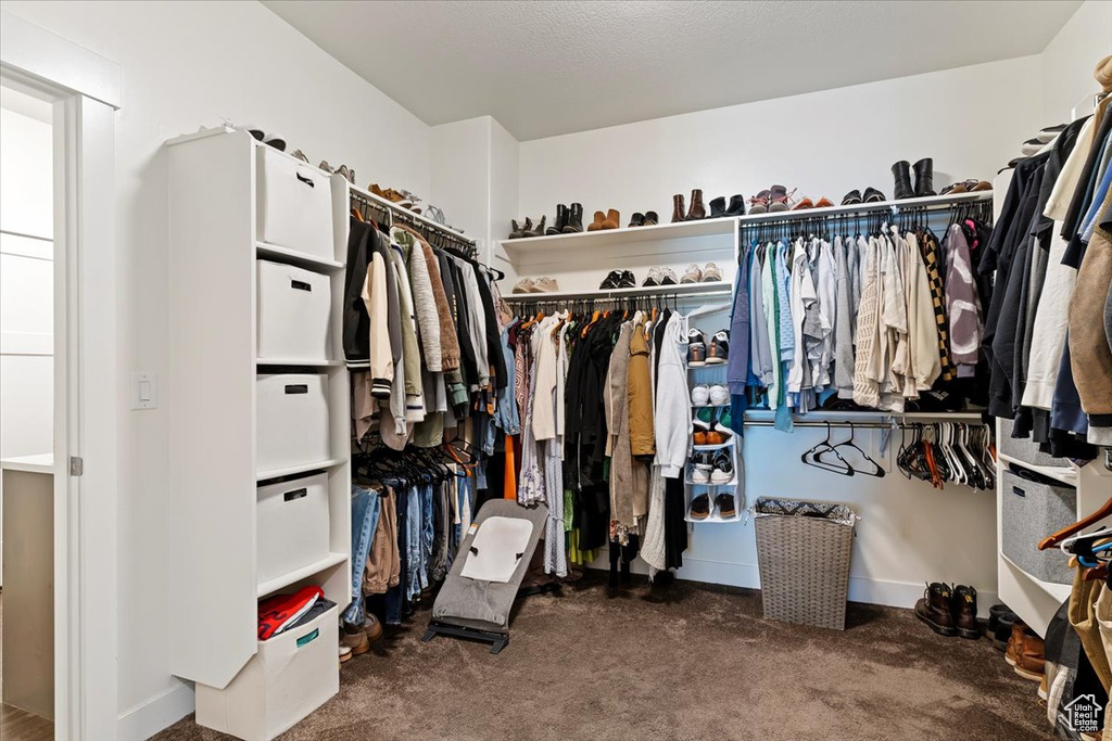 Walk in closet with carpet floors