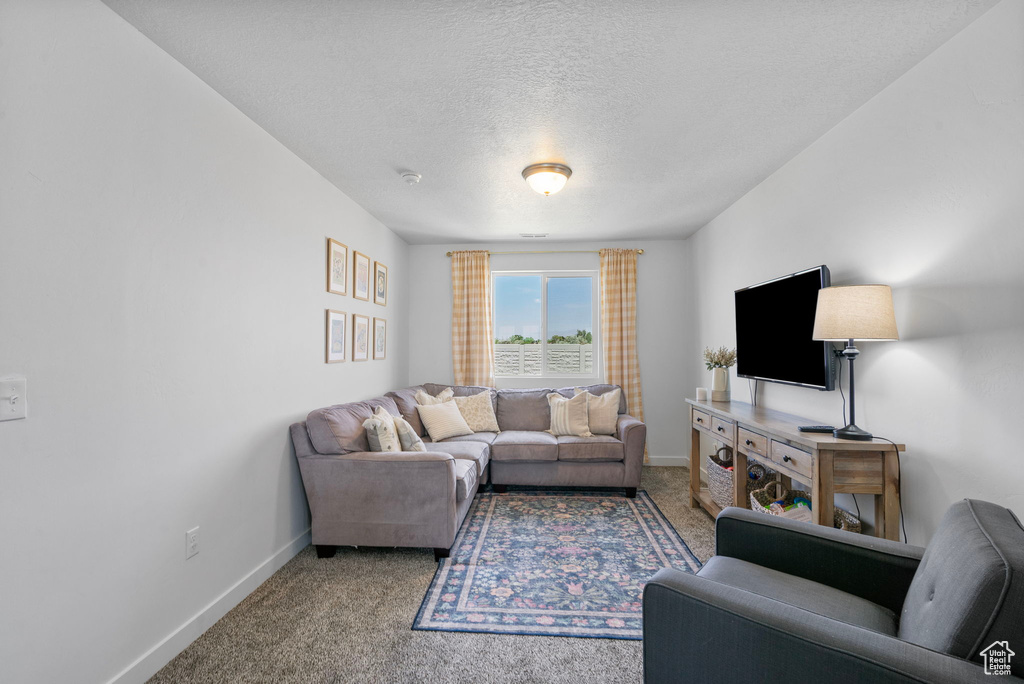 Living room with carpet floors, baseboards, and a textured ceiling