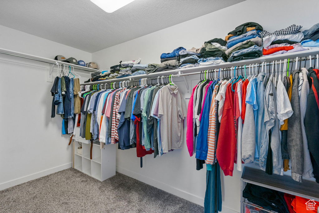 Spacious closet featuring carpet flooring