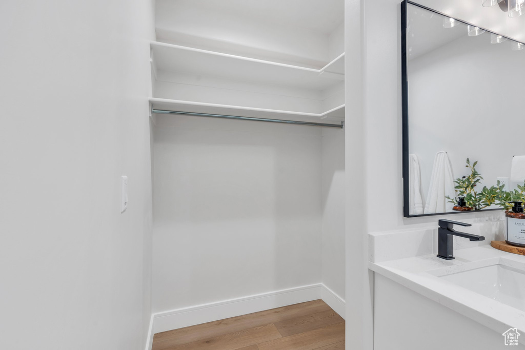 Closet featuring a sink