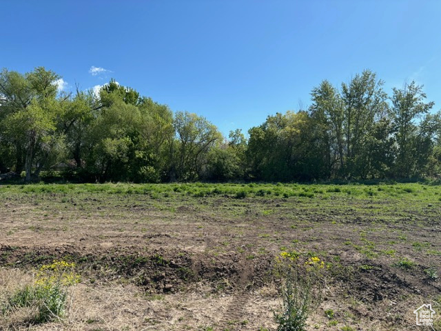 View of undeveloped land featuring rural landscape