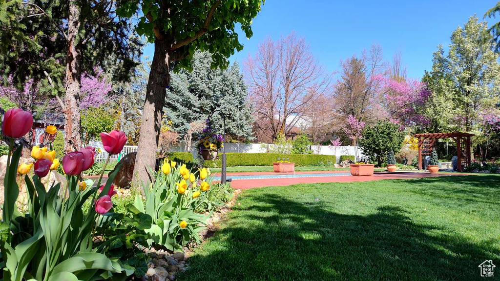 View of yard with a pergola