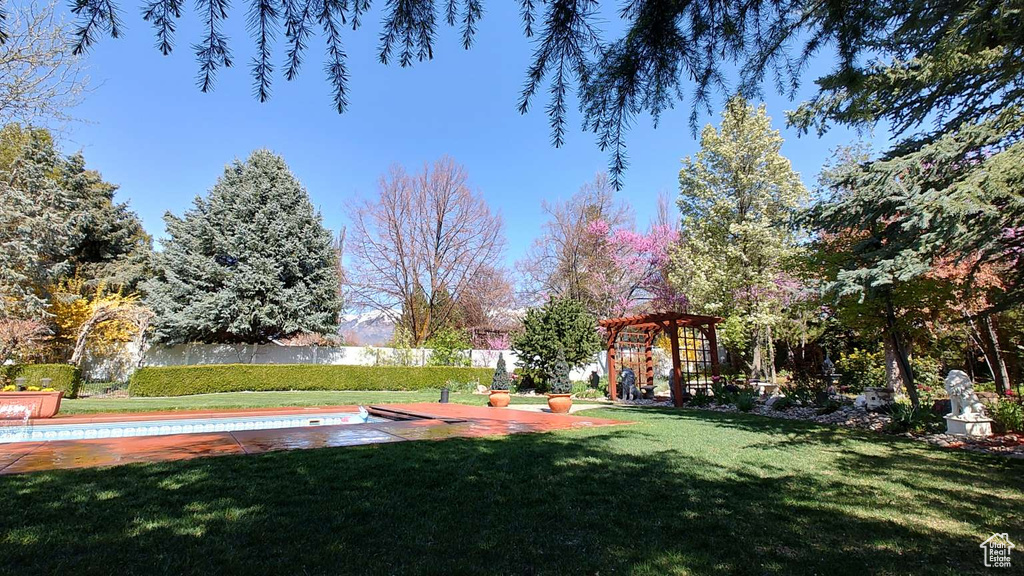 View of grassy yard featuring a swimming pool