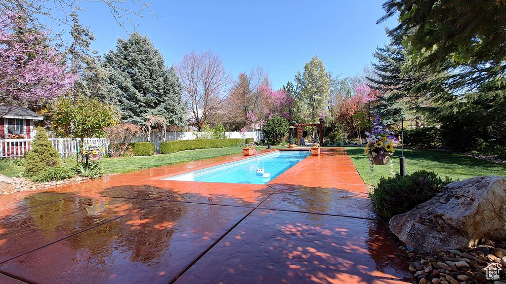 View of swimming pool featuring a patio