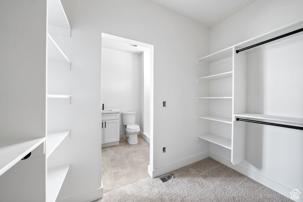 Spacious closet featuring light carpet and a sink