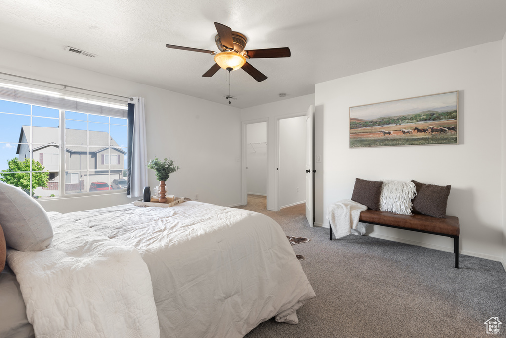 Bedroom with light carpet, ceiling fan, a walk in closet, and baseboards