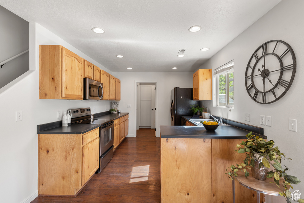 Kitchen with stainless steel appliances, dark wood-style floors, dark countertops, a peninsula, and recessed lighting
