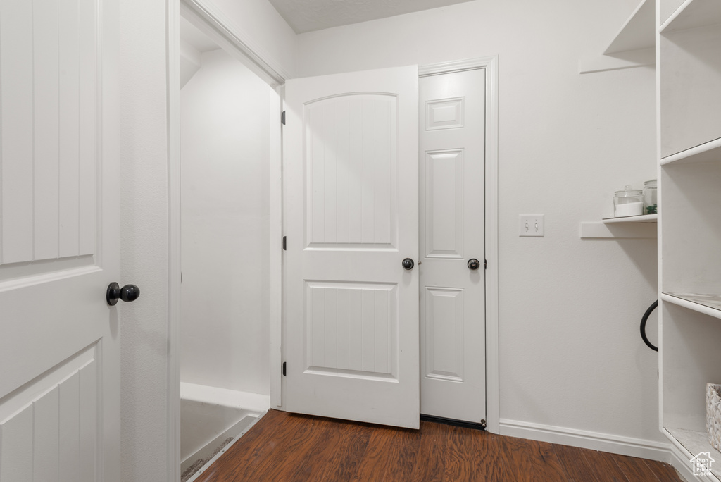 Walk in closet featuring dark wood-style floors