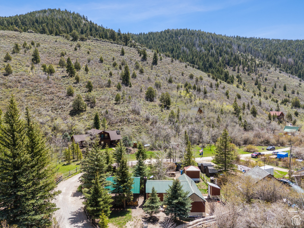 Bird's eye view of a forest and a mountain backdrop