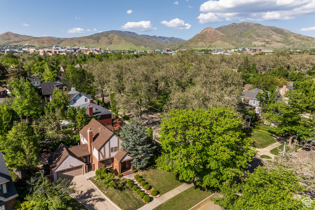 Aerial view of residential area with a mountain backdrop