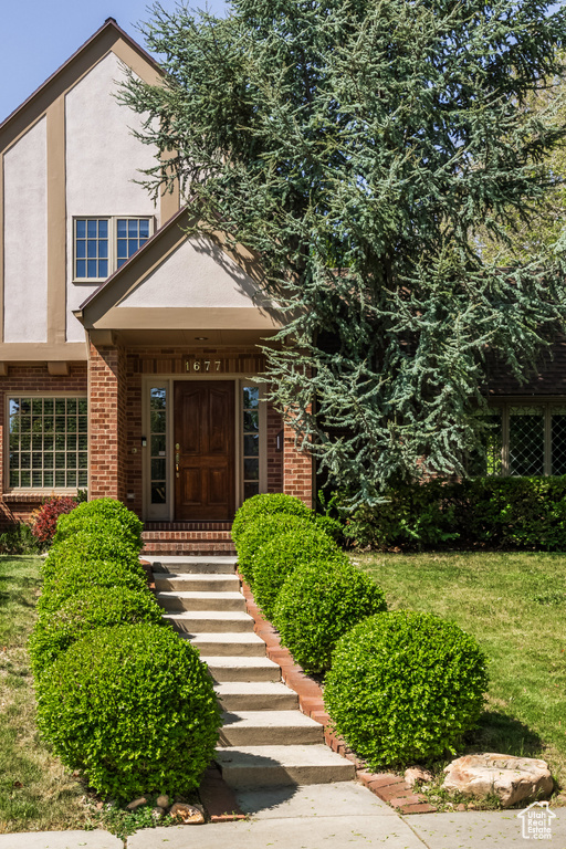 Property entrance with brick siding, stucco siding, and a yard