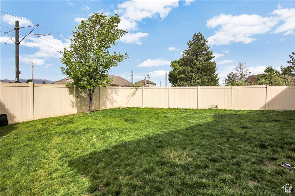 View of yard