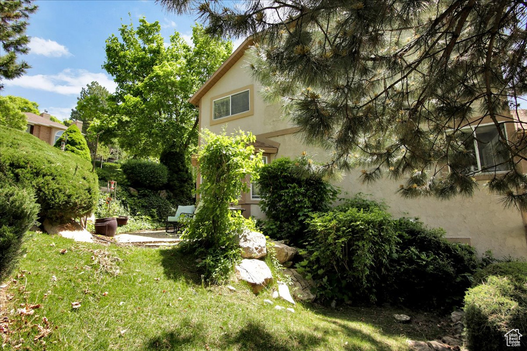 View of grassy yard