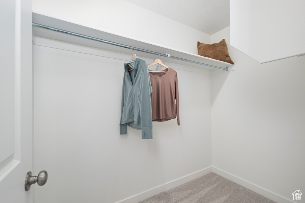 Walk in closet featuring carpet