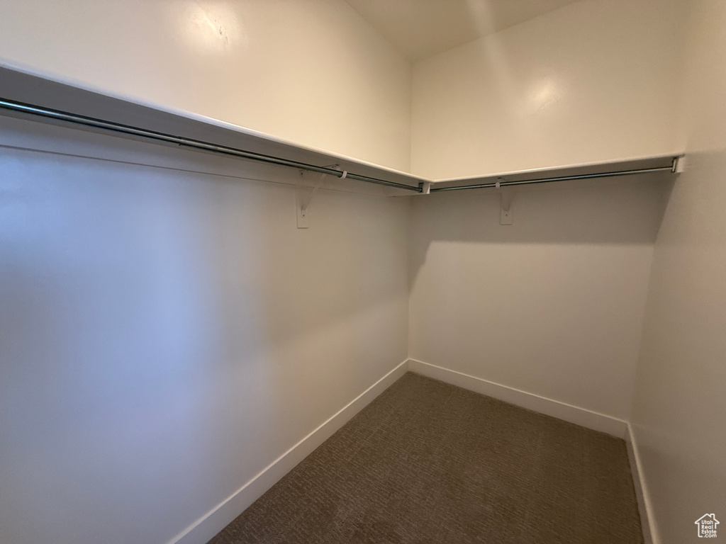 Spacious closet featuring dark carpet