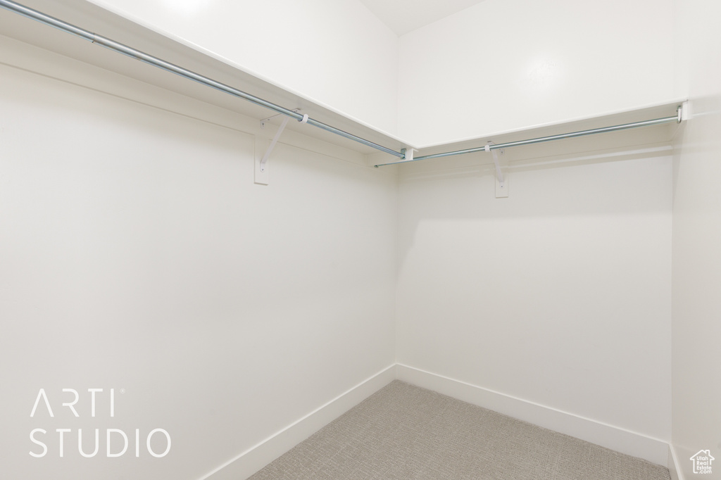 Spacious closet featuring light carpet