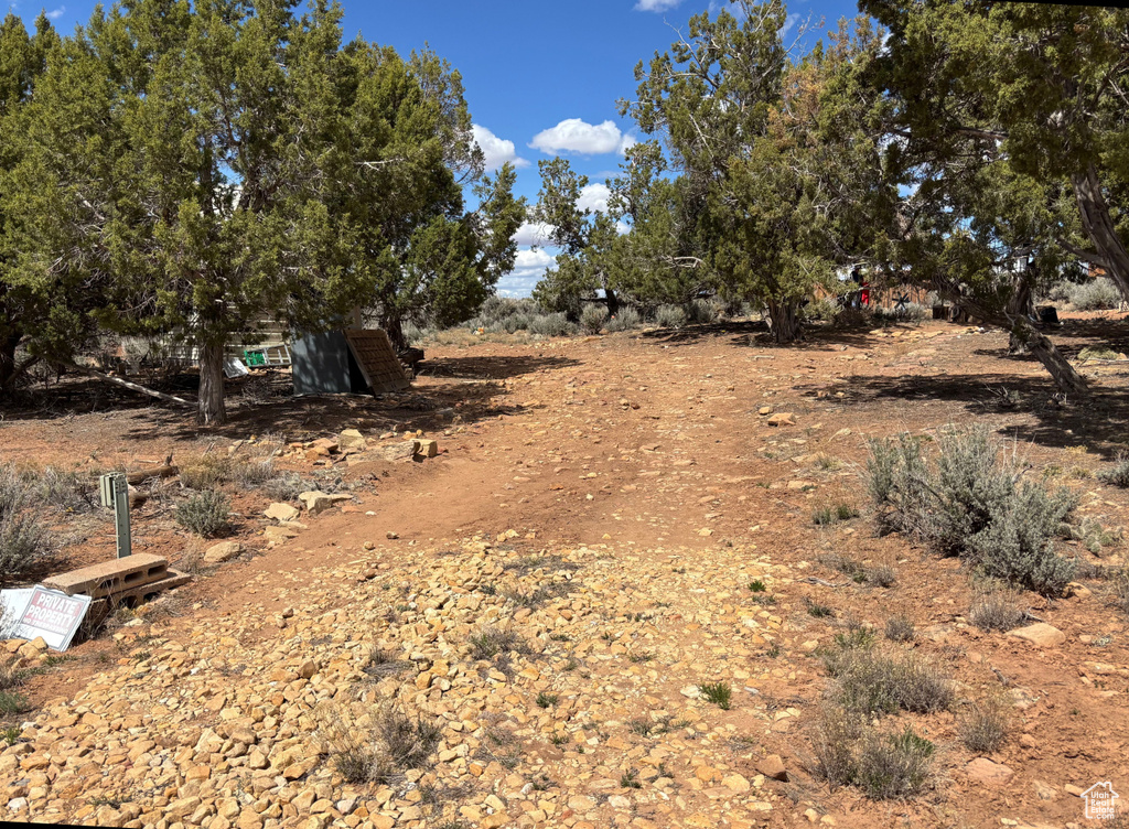 View of nature