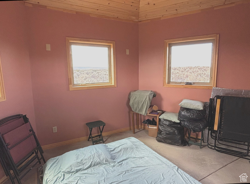 Bedroom featuring baseboards and carpet
