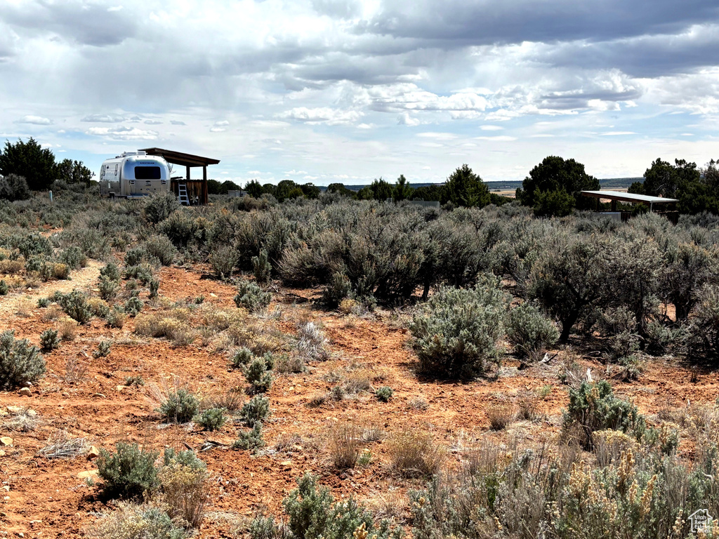View of local wilderness