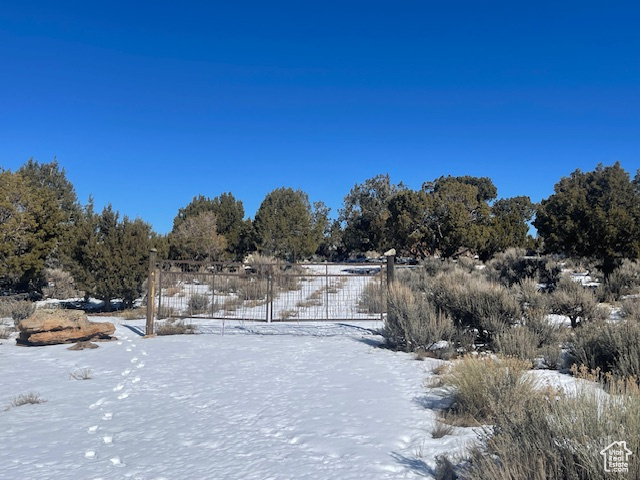 View of yard layered in snow